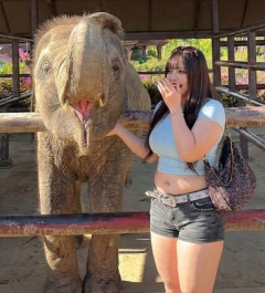 【画像】豊満ギャル「待って、動物園行ったらゾウより足太かったんだけどw」