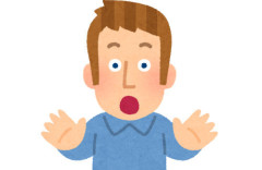 アメリカ人「アメリカ出身と言うたびに軽蔑や嫌悪の目で見られる。日本人は親切だけど…」