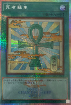 【遊戯王OCG】リミテッドパックWCS2026はどうだった？