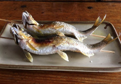 「焼き魚」って刺身より酒に合うと思わん？
