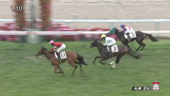 【競馬】「ギャルしか勝たん」藤田会長のギャル、勝ち上がり