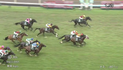 【競馬】新潟記念は岩田望騎乗のゾロアストロがV