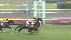 G1馬5頭出走の新潟記念を制したのは3歳馬ゾロアストロ!【ウマ娘民の反応】