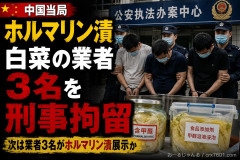 【速報】中国当局、ホルマリン漬白菜の業者3名を刑事拘留 次は業者3名がホルマリン漬展示か