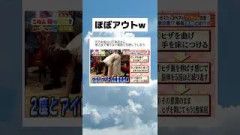恥ずかしいポーズもやり切る山下美月