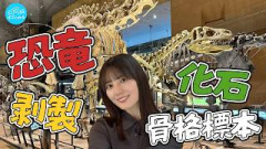 【大迫力】恐竜の骨格標本や化石、動物の剥製まで！小坂菜緒が西日本最大級の総合博物館に行ってみた！【真夏の自由研究】