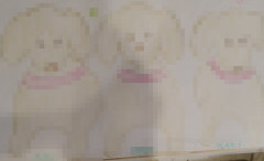 「イラストレーターに犬の絵を依頼したけどずっと絵が届かず、警察に相談したと言ったらコレが届いた」ﾊﾟｼｬｯ → 届いた絵がヤバすぎるｗｗｗｗｗ