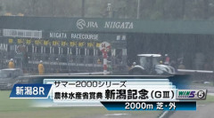 【新潟記念】ゾロアストロ&岩田望来騎手がキタ━━━━(゚∀゚)━━━━!!