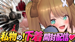 人気女性VTuberさん「私物の下着開封配信します！」 → とんでもない下着を持ってるのがバレて話題にｗｗｗｗｗ