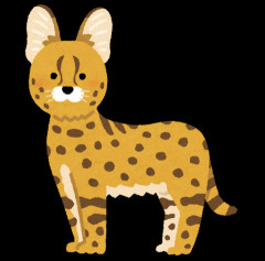 けものフレンズ(キャラS、優しさS、話題性S、バズり方 S」←こいつが衰退した理由