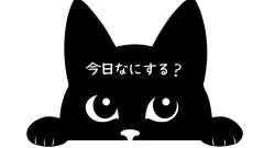 今日なにする？