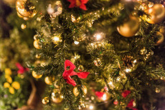 クリスマスや正月、バレンタインなどの季節イベントにはまったく興味がない。リアルでは少し言いづらいけれど。