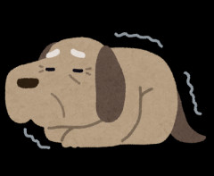 私の父が倒れたと連絡があり、遠方にある実家に帰らなきゃいけなくなった。飼ってた犬が老犬で心配だったからペットシッターをお願いしようとしたら、旦那が義妹に頼も