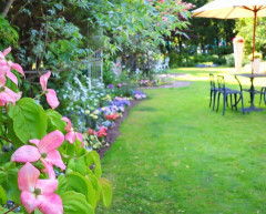 【家を建てる予定】記念に植える木を選びたい。おすすめはどれ？
