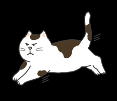 そう、これ！猫ってニャーンとお腹を見せるけど触ると怒るんだよな