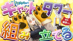 【リアル作成】猫壱のキャットタワーを組み立てる「虎金妃笑虎」が面白すぎて抱腹絶倒！