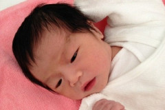 【朗報】少子化完全に止まる　上半期の出生数が11年ぶり増加wwwwwwwwwwwwwww