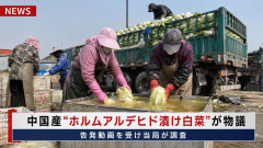 【白菜騒動】日本政府、中国から輸入される野菜の検査でホルムアルデヒドを検査していないことが判明