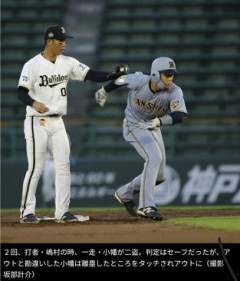 阪神小幡、2軍戦でまさかの珍プレー　盗塁成功後に塁を離れてしまう