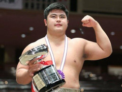【衝撃】元アマ横綱・花田秀虎さん、大相撲入りを断念してWWE・アメフト・ビジネスを模索ｗｗｗｗｗｗｗｗｗｗ