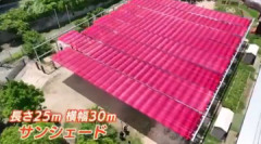 【原価厨】幼稚園の園庭にある日よけが4000万円すると話題に…ネット「ダイソーの防草シートと釣り糸使えば1万円でできるやろぅ勢がいて震えてる」