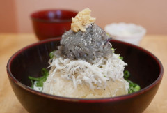 生しらすとかいう伝説の食べ物ｗｗｗｗｗｗｗ