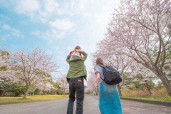 【悲報】なぜ日本人は子供を作らないのか・・・・・・・・・