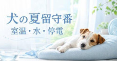 【悲報】僕「野球見に行くからエアコン切るね」嫁「いやエアコン切ったらわんこが熱中症になっちゃうの」