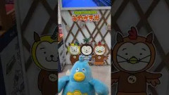 日向坂46 ポカたびin宮崎withマネージャー〈番外編〉ポカのおともだちしょうかい！（いっぱいお友達ができてよかったね！）9月5日,6日『ひなたフェス 2026』開催！ひなたサンマリンスタジアム宮崎