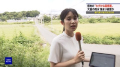 【画像】NHK総合、膨らみにしか目が行かない美女アナwwwww