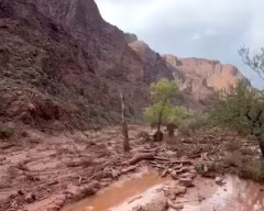 【動画】グランドキャニオンで鉄砲水が発生し1人死亡、15人が安否不明に。