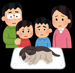 自分ちの黒猫の抜け毛を集めて・・・