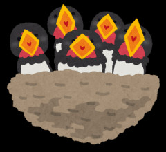 【買ってやれ】私が買ってもらった七段飾りはやたら場所を取るし、娘は娘の雛人形があるので去年、私の雛人形を人形供養に出した。それを知った義兄嫁から…