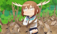 【画像】日本の鹿、ガチのマジで増えすぎて社会問題化！　お前らの想像の200倍以上大群になってるｗｗｗｗ
