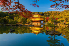 【朗報】韓国人「京都の紅葉、秋に行くなら時期はここ」