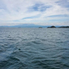海に転落した柴犬　漂流の末、約26時間後5km先の島で無事発見! 飼い主と涙の再会 SNSの拡散が奏功【愛媛】