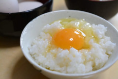 米「タンパク質ないです、ビタミンないです、食物繊維ないです」←こいつが天下取れた理由ｗｗｗｗｗｗ