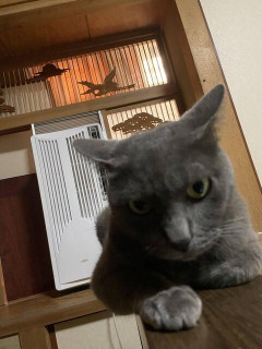 昔居酒屋でバイトしてた時に、お人形さんみたいなキレイと可愛いを兼ね備えた子が居て一目惚れしたんだけど、鈍臭すぎていじめられて退職。→俺の転職先でその子と再会したら・・・