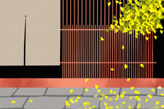 静かな京都はもう戻ってこないんかな…