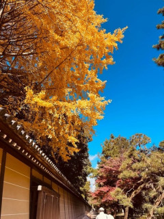 海外「誕生日に初めての1人旅で日本に行ってきた時の様子を紹介しよう」日本1人旅に対する海外の反応