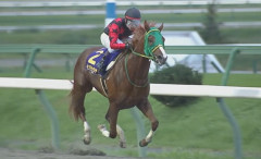 イッテラッシャイ、不来方賞を圧勝