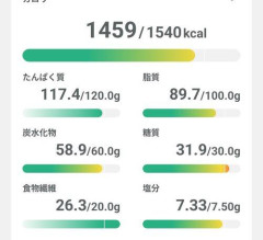 【困惑】WTO「一日の塩分摂取量は6gまでにしなさい」←これｗｗｗｗｗｗｗｗｗｗ