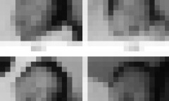 【決定的証拠】731部隊の行った人体実験の写真がこれ