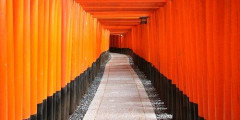 【悲報】「旅行」とかいうガチのマジで何の意味もない行動ｗｗｗｗｗｗｗｗｗｗ