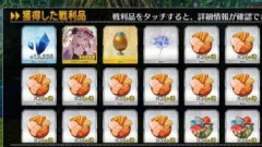 【FGO】水着イベント2026で入手できる概念礼装「★5(SSR)ル･グテ」「★5(SSR)渓谷の神秘」はどちらのほうがドロップしましたか？