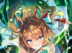 【ウマ娘】エフフォーリアに虹結晶突っ込んでもいいのかな？