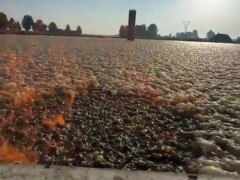 家畜のふん尿ピットを覆う泡にライターで火花、一面が一気に燃え広がる「その言葉は聞きたくなかった」【海外の反応】