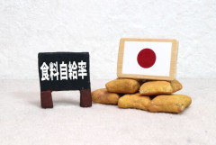 食糧自給率って上げる必要ある？