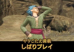 DQナンバリングの戦闘バランスの最高と最低ってこれだよな