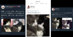 中川翔子「だからXって嫌」　意味深投稿に共感の嵐